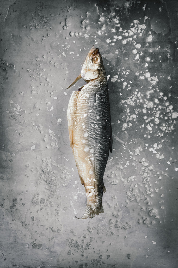 Salted Fish, Limited Print